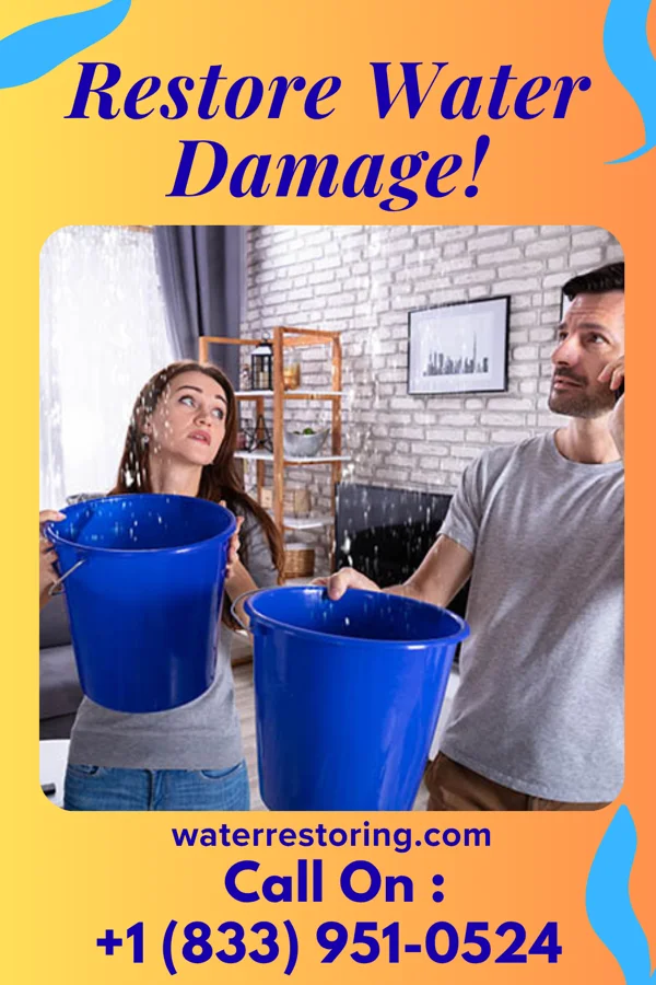 water restoration Master Disaster Recovery Network Plainview