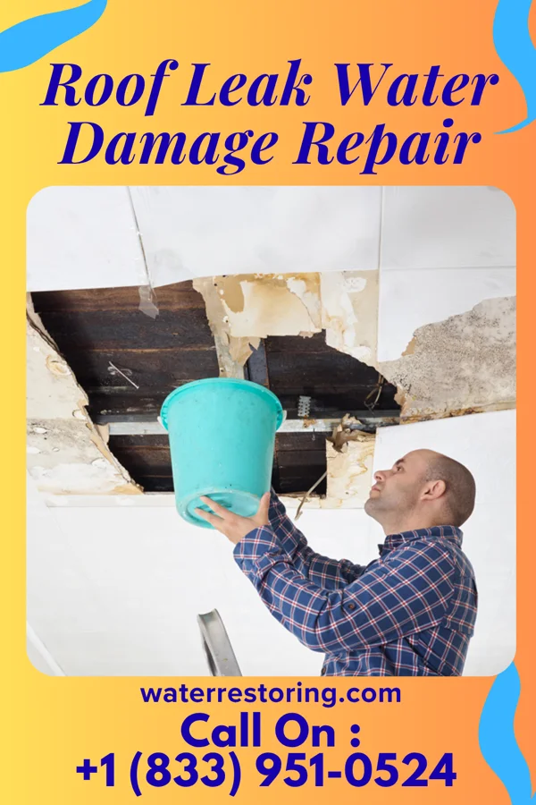 Roof Leak Water Damage Repair in Plainview, TX