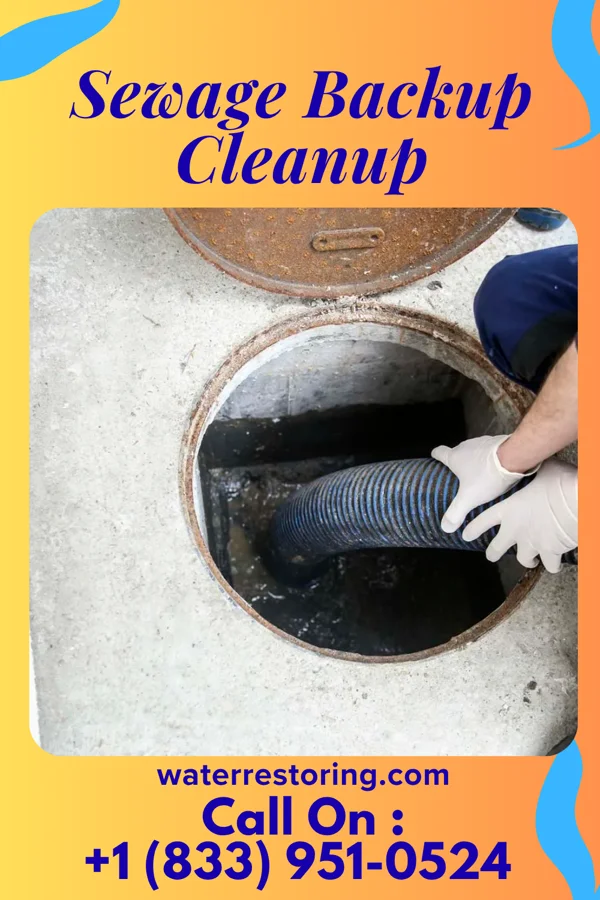 Sewage Backup Cleanup in Plainview, TX