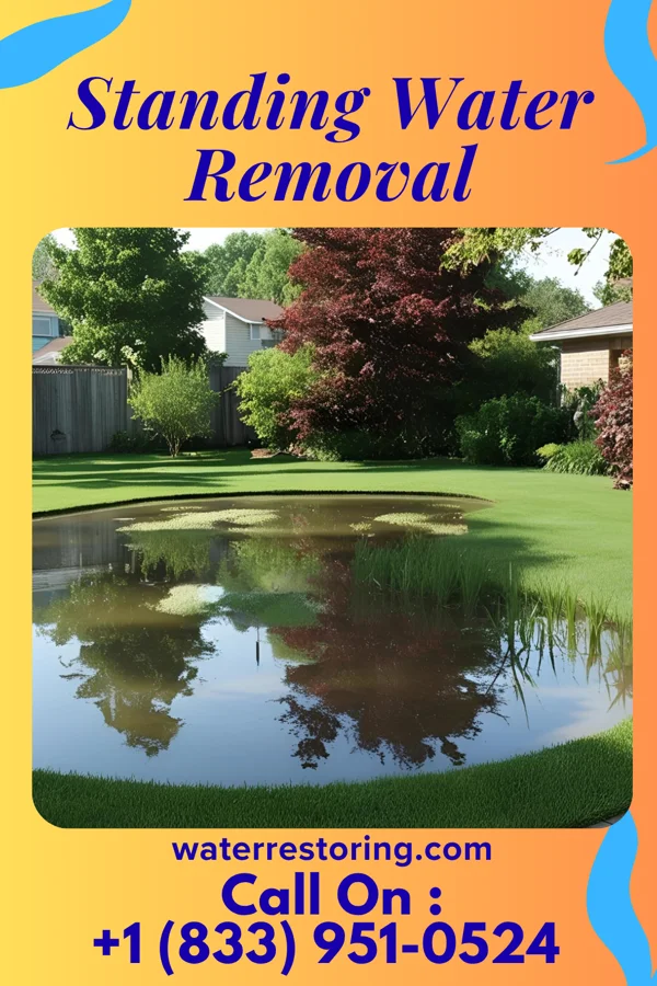 Standing Water Removal in Plainview, TX